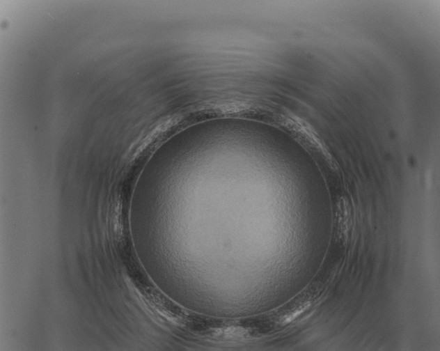 X0000066520212200603311802