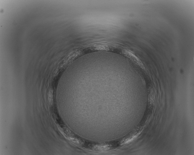 X0000066520213200603311802