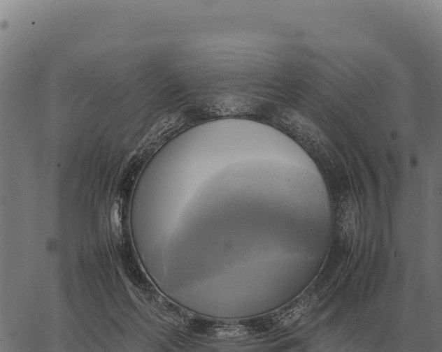 X0000066520214200603311802