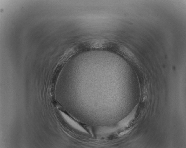 X0000066520217200603311802