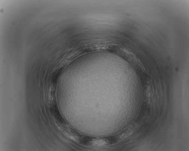 X0000066520218200603311802