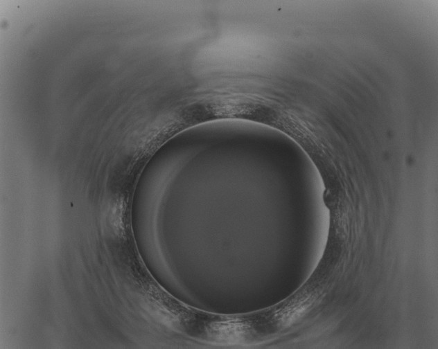 X0000066520219200603311802