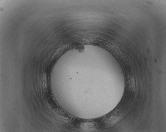 X0000066520220200603311802