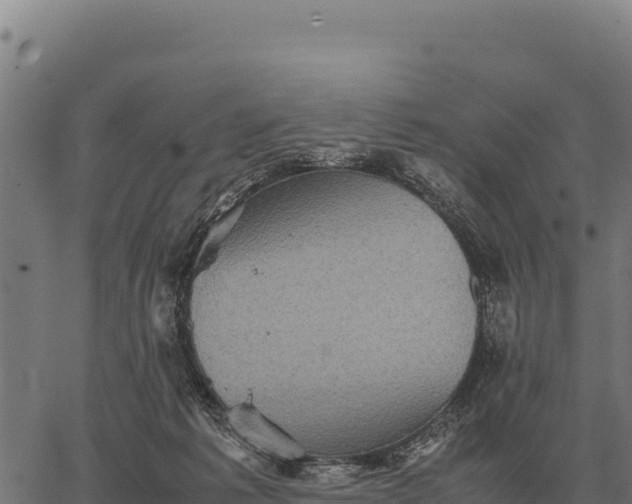 X0000066520221200603311802