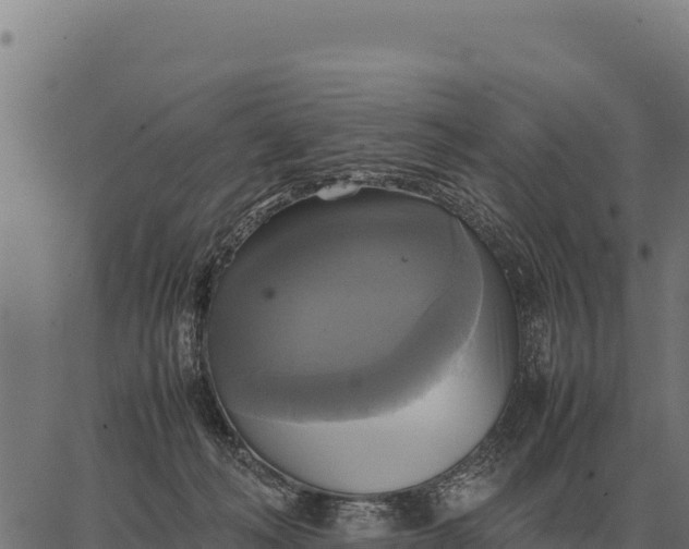 X0000066520222200603311802