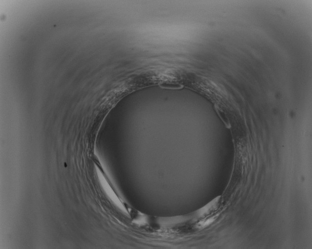 X0000066520223200603311802