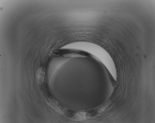 X0000066520227200603311802