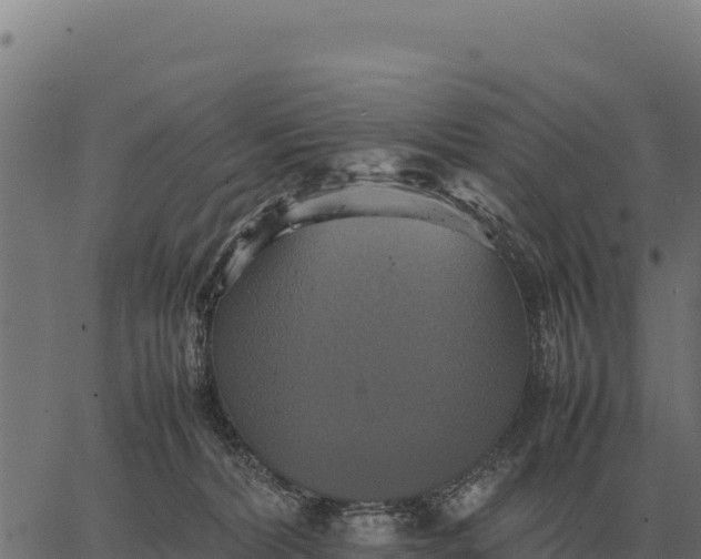 X0000066520228200603311802