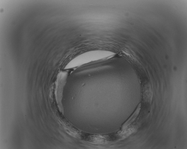 X0000066520229200603311802