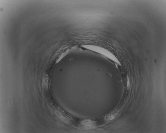 X0000066520231200603311802