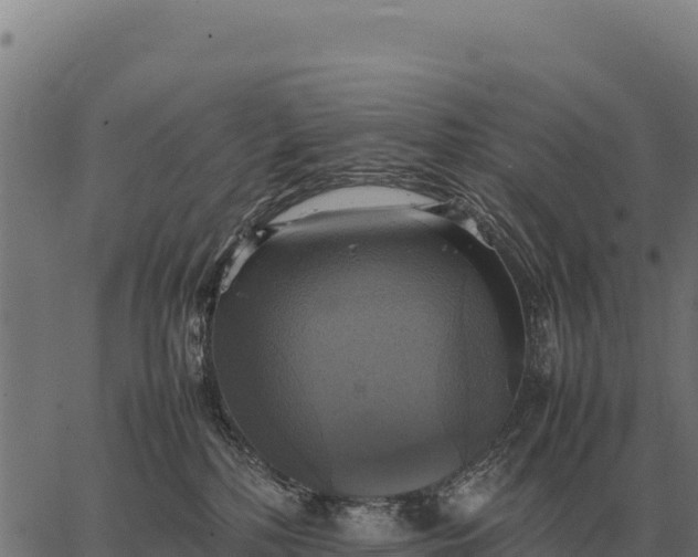 X0000066520232200603311802