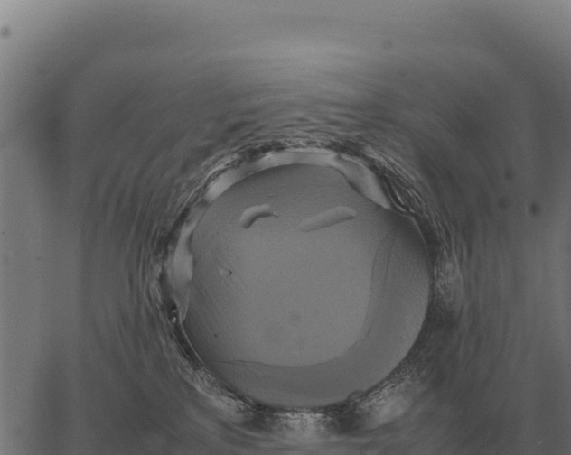 X0000066520233200603311802