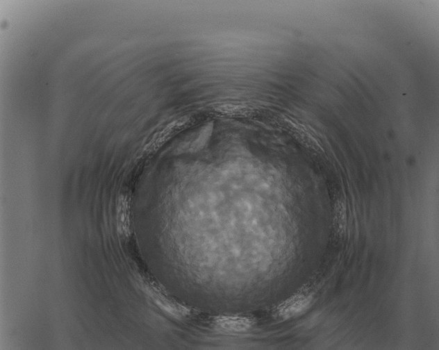 X0000066520234200603311802