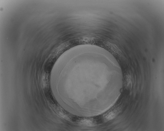 X0000066520236200603311802