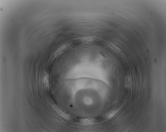 X0000066520238200603311802