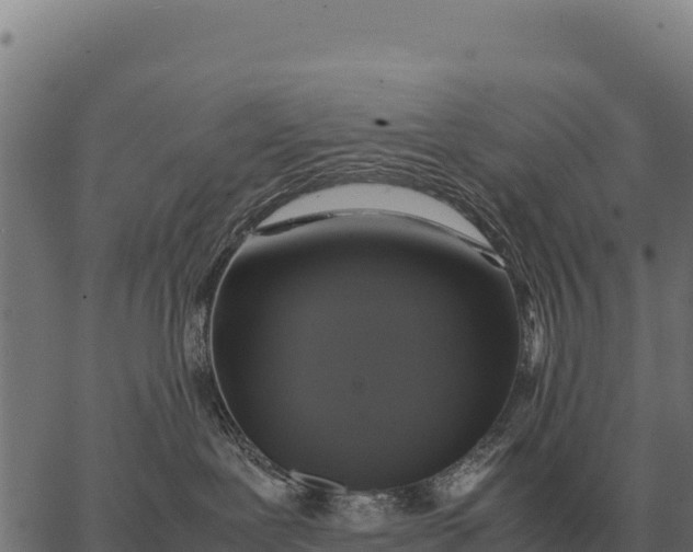 X0000066520239200603311802