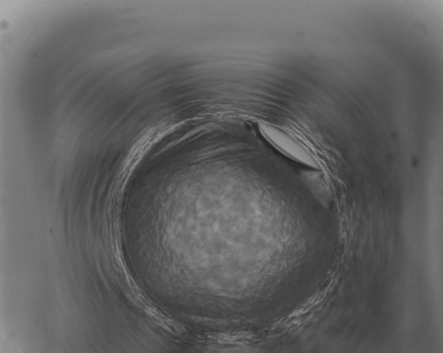 X0000066520241200603311801