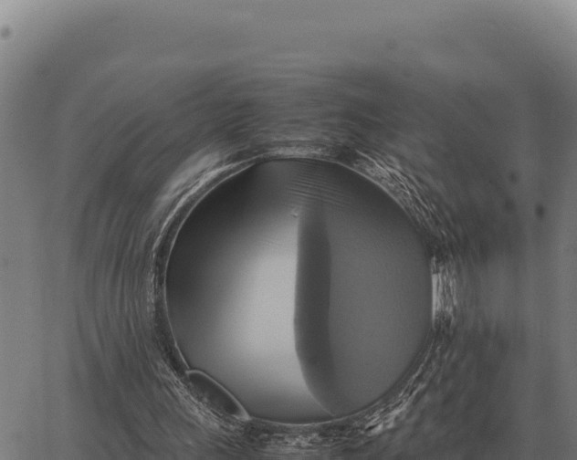 X0000066520243200603311801