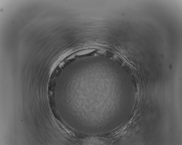 X0000066520244200603311801