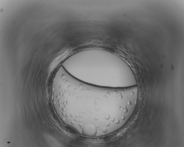 X0000066520245200603311801