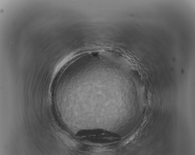 X0000066520246200603311801