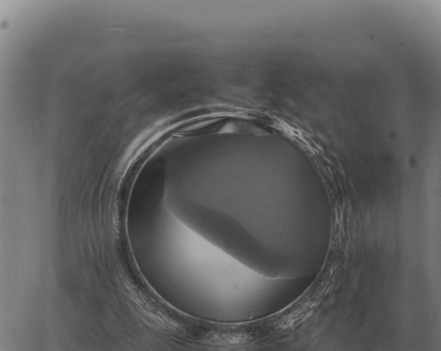 X0000066520247200603311801