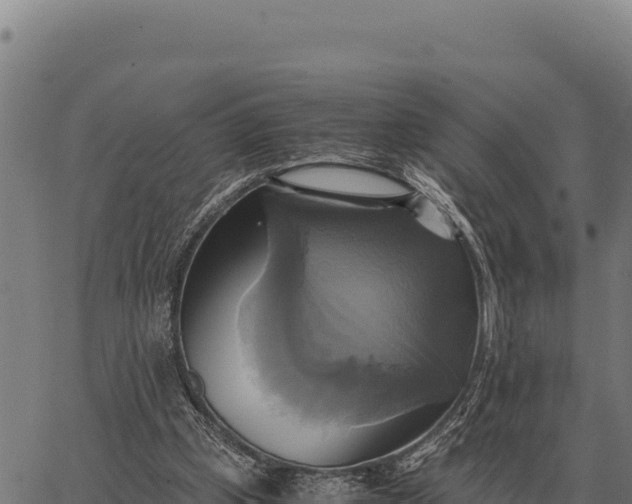 X0000066520249200603311801