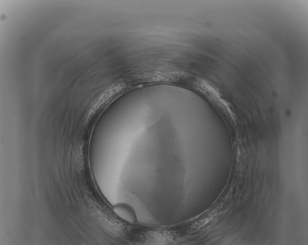 X0000066520250200603311801