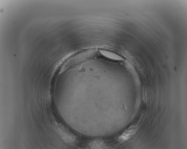 X0000066520252200603311801