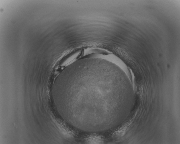 X0000066520256200603311801