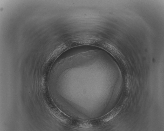 X0000066520258200603311801