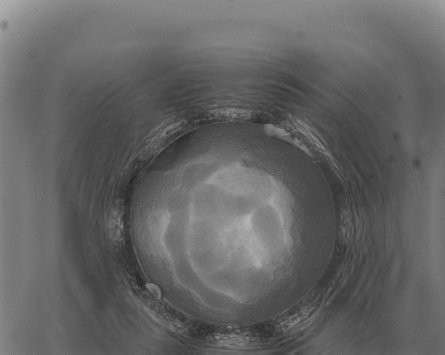 X0000066520259200603311801