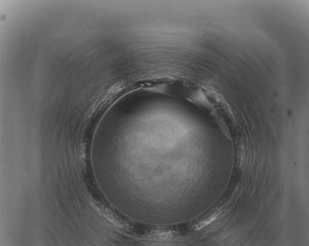 X0000066520260200603311801