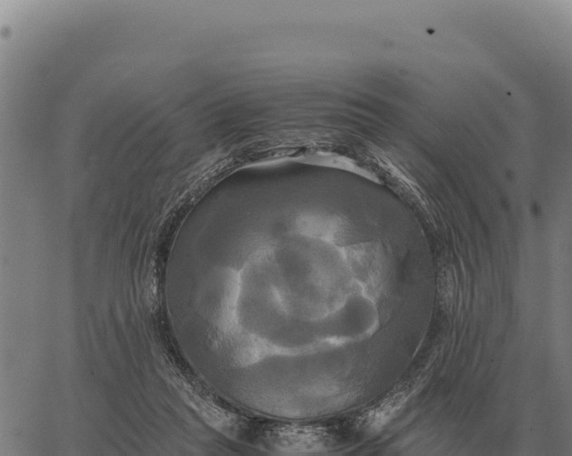 X0000066520261200603311801