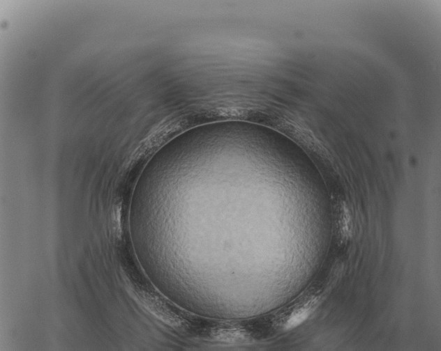 X0000066520262200603311801