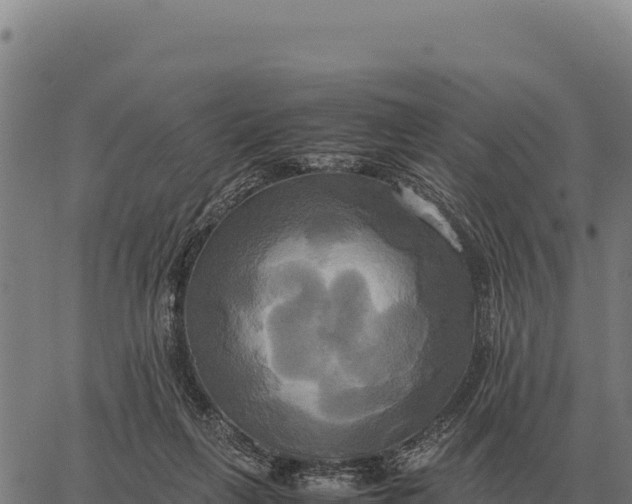 X0000066520263200603311801