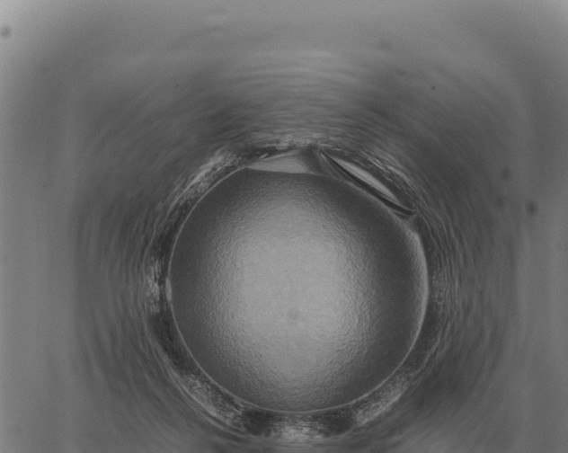 X0000066520264200603311802