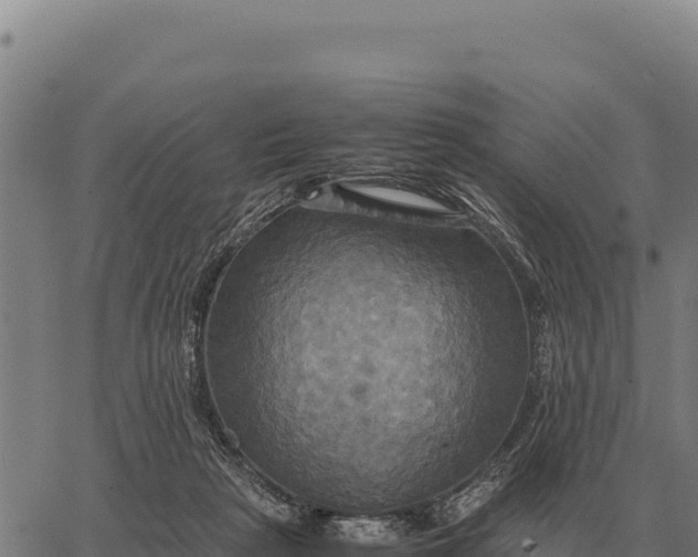 X0000066520265200603311802