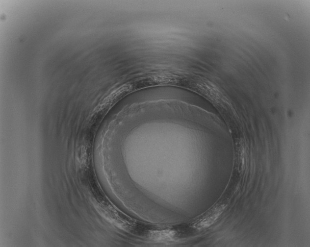 X0000066520266200603311802