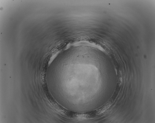 X0000066520268200603311802