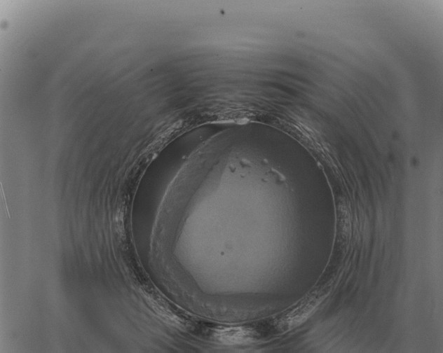 X0000066520269200603311802