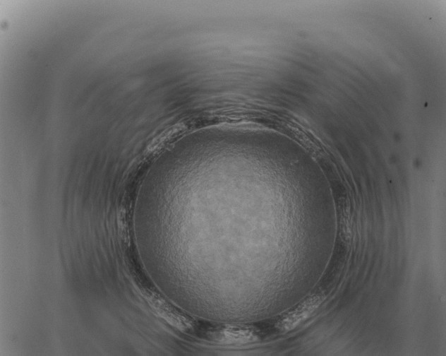 X0000066520270200603311802