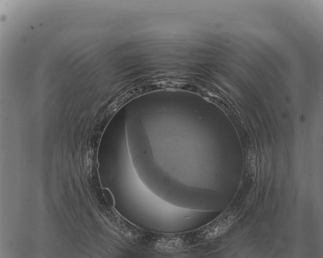 X0000066520271200603311802