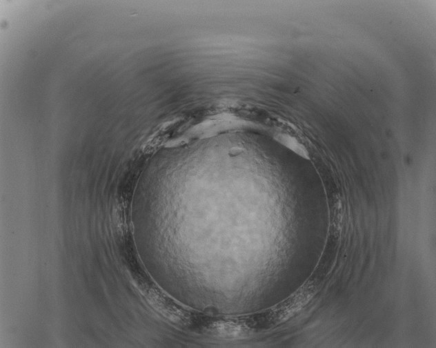 X0000066520272200603311802