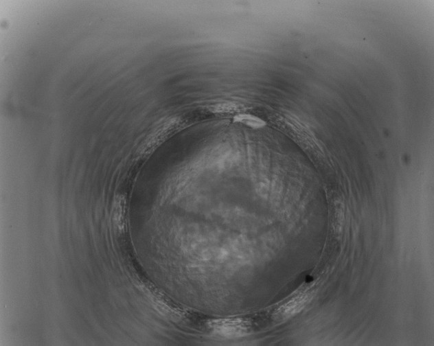 X0000066520273200603311802