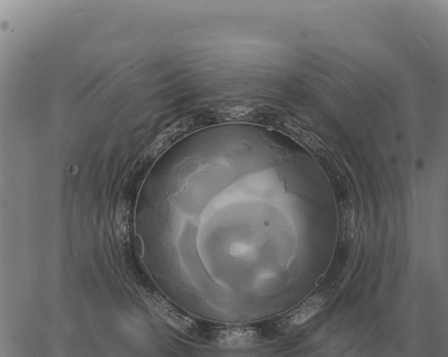 X0000066520274200603311802