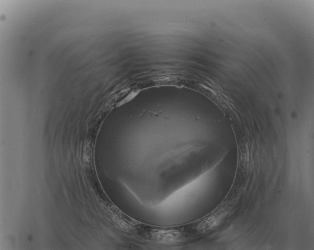 X0000066520277200603311802