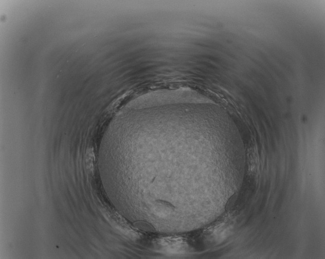 X0000066520279200603311802