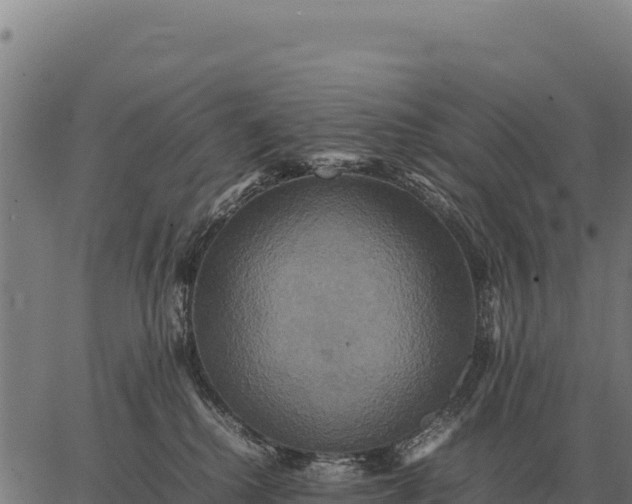 X0000066520280200603311802