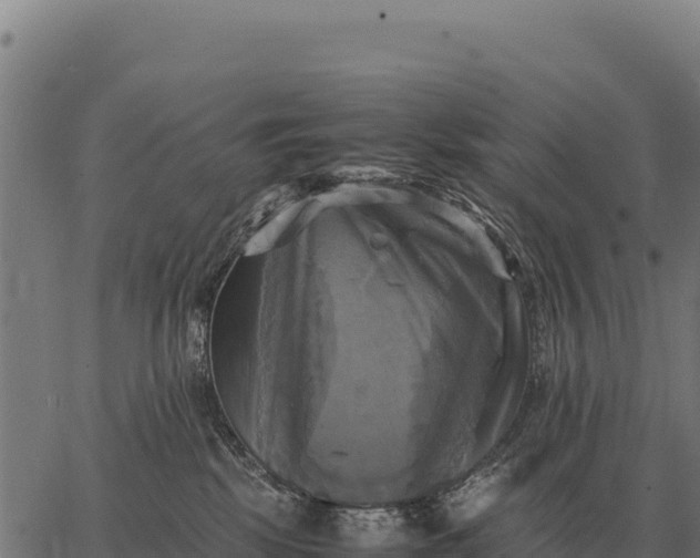 X0000066520281200603311802